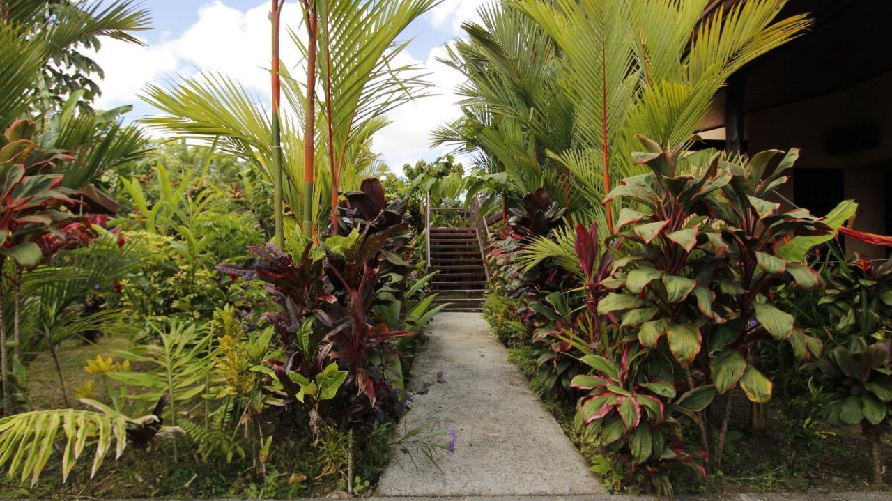 Aunty Arenal Lodge La Fortuna ภายนอก รูปภาพ