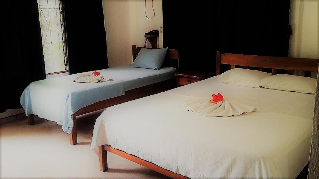 Aunty Arenal Lodge La Fortuna ภายนอก รูปภาพ